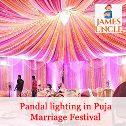 Pandal lighting in Puja Marriage Festival Mr. Subrata Bhowmick in Gobardanga